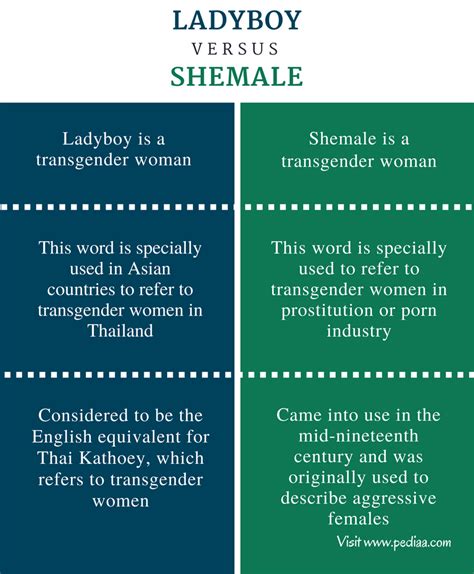 tranny vs shemale|Difference Between Ladyboy and Shemale